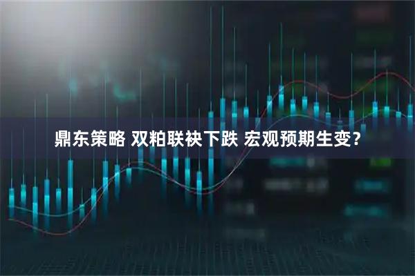鼎东策略 双粕联袂下跌 宏观预期生变？