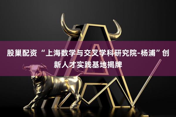 股巢配资 “上海数学与交叉学科研究院-杨浦”创新人才实践基地揭牌