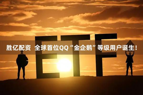 胜亿配资  全球首位QQ“金企鹅”等级用户诞生！