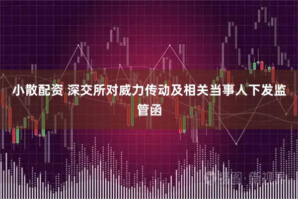 小散配资 深交所对威力传动及相关当事人下发监管函