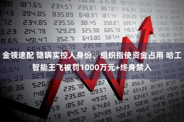 金领速配 隐瞒实控人身份、组织指使资金占用 哈工智能王飞被罚1000万元+终身禁入