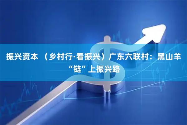 振兴资本 （乡村行·看振兴）广东六联村：黑山羊“链”上振兴路