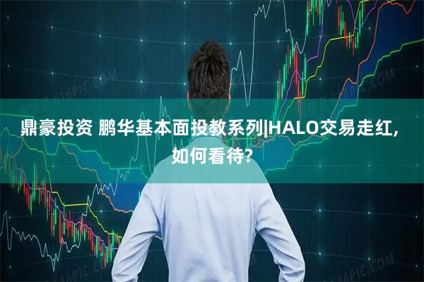 鼎豪投资 鹏华基本面投教系列|HALO交易走红, 如何看待?
