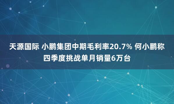天源国际 小鹏集团中期毛利率20.7% 何小鹏称四季度挑战单月销量6万台