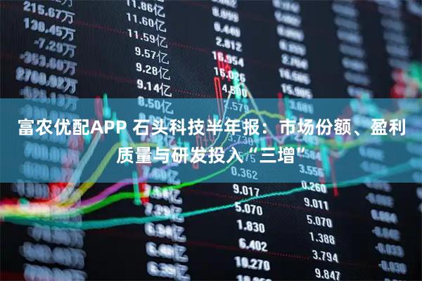 富农优配APP 石头科技半年报：市场份额、盈利质量与研发投入“三增”